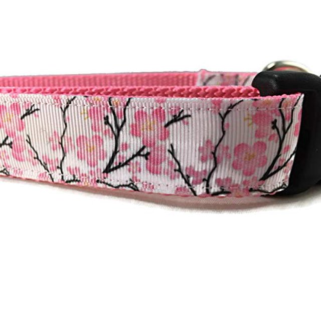 Collar De Perro De Primavera Caninedesign San Valentín Día De San Patricio Pascua 1 Pulgada De Ancho Ajustable Nailon Mediano Y Grande (Flor De Cerezo Grande 15-22 Pulgadas)