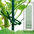 thumbnail image 5 of 30 Pack Plant Support Stakes, Garden Single Stemmed Plant Support, 5 of 5