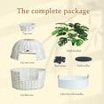 thumbnail image 3 of Toytexx Cat Litter Box, Handwoven Rattan Cat House Enclosure with Artificial Plants, Enclosed Cat Planter Litter Box (White), 3 of 7