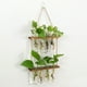 thumbnail image 5 of Matsuzay Jarrones de tubo de ensayo de 2 niveles, propagador de plantas hidropónicas, estación de propagación de plantas elegante Simple Decoración del hogar Marrón, 5 of 6