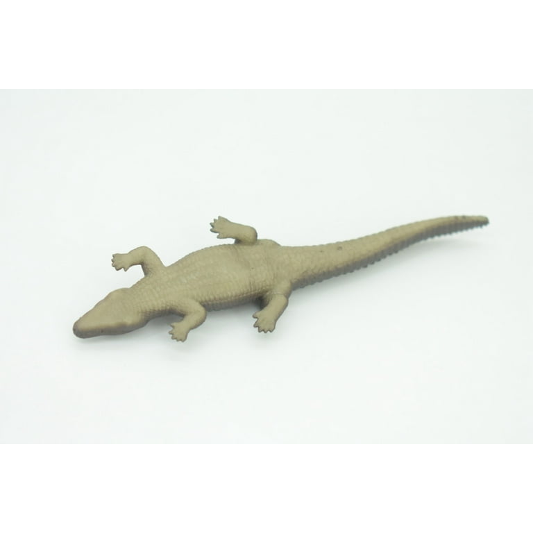 invisible ink crocodile 4th XL 正規未発売 Black Caiman, Melanosuchus niger, Orinoco Crocodile, Educational