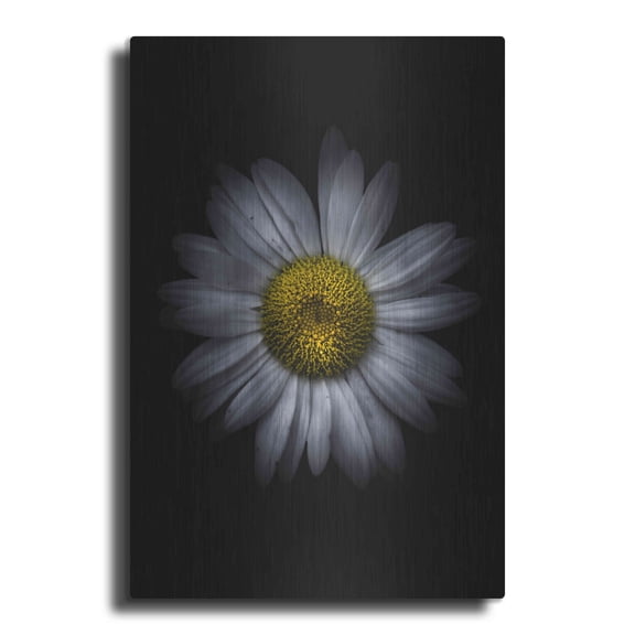 Luxe Metal Art 'Backyard Flowers 13 Color Version' by Brian Carson, Metal Wall Art, 24"x36"