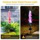 thumbnail image 5 of 2 lámparas solares para césped con flores de jacinto IP65 600 mAh para decoración de jardín (rojo sandía), 5 of 6