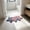 B, variant on LNOGEUPG 4th of July Patriotic Independence Day Themed Printed Bath Mat, Non-Slip Absorbent Red Blue Stars Stripes Floor Rug, Soft Doormat for Bathroom Tub Side Entryway Indoor Home Decor