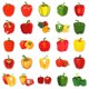 thumbnail image 4 of Pegatinas de vinilo con estampado impermeable, 50 unidades por lote, vegetales de colores, 4 of 5