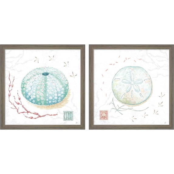 Great Art Now Delicate Sea D by Daphne Brissonnet, 2 Piece Framed Art Set Each 13"W x 13"H