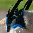 thumbnail image 4 of The Original Walkabout Back End Harness for Injured and Aging Animals, 4 of 8