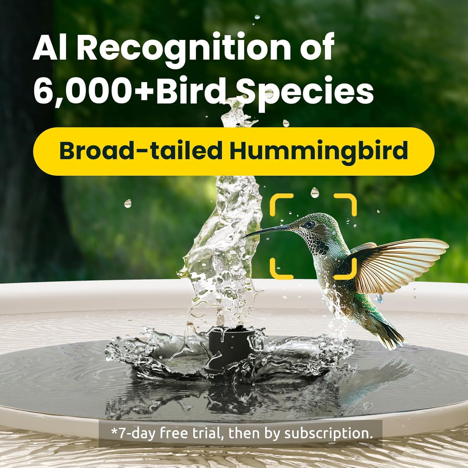 Birdfy Smart Bird Bath with Camera,Solar Birdbath for garden,Dual-Lens Fountain Outdoor, AI Bird Identification & Auto Video Capture with Notification