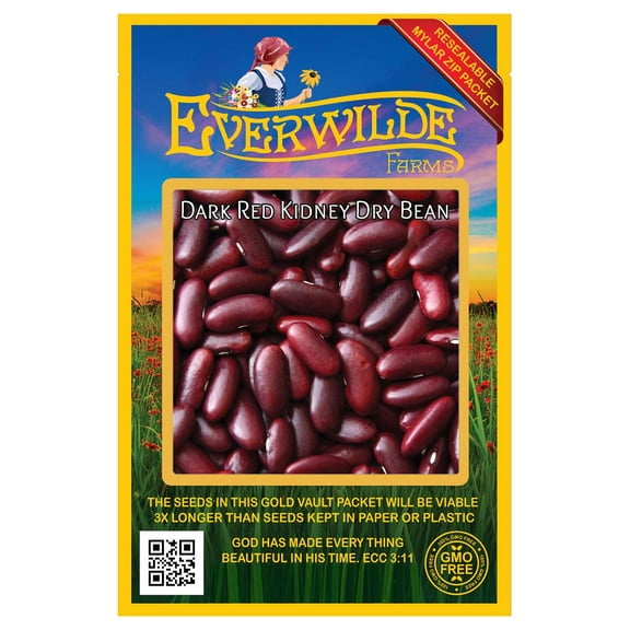 Everwilde Farms - 100 Dark Red Kidney Dry Bean Seeds - Gold Vault Jumbo Bulk Seed Packet