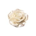 thumbnail image 1 of Ligero impermeable Rosa falsa flor bonita horquilla decoración pequeña resina Camelia teléfono móvil Shell DIY álbum de recortes caso bolsas Ropa, zapatos y accesorios Miscelánea Albaricoque Qarigey AP012333-02, 1 of 6