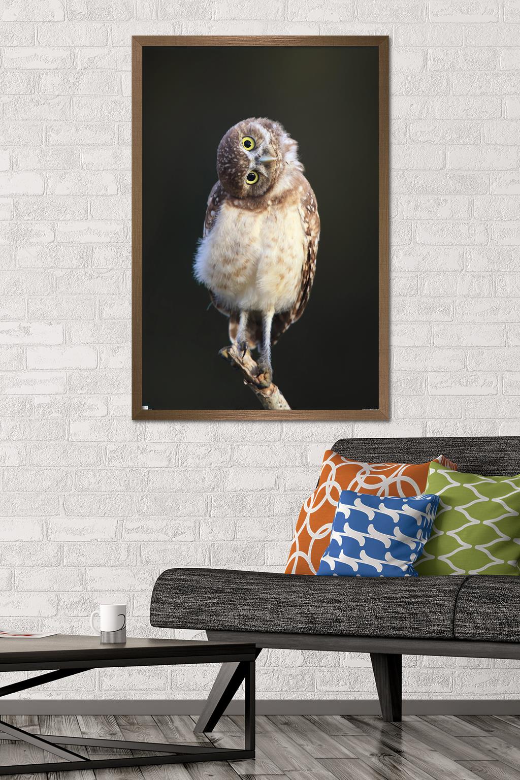 Curious Burrowing Owlet Wall Poster, 22.375" x 34" Framed