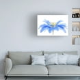 thumbnail image 2 of Jacky Parker 'Floral Fountain' Canvas Art, 2 of 4