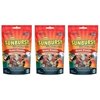 Higgin 466014 5 oz Sunburst True Fruits Gourmet Treats for Conure, Parrot & Macaw