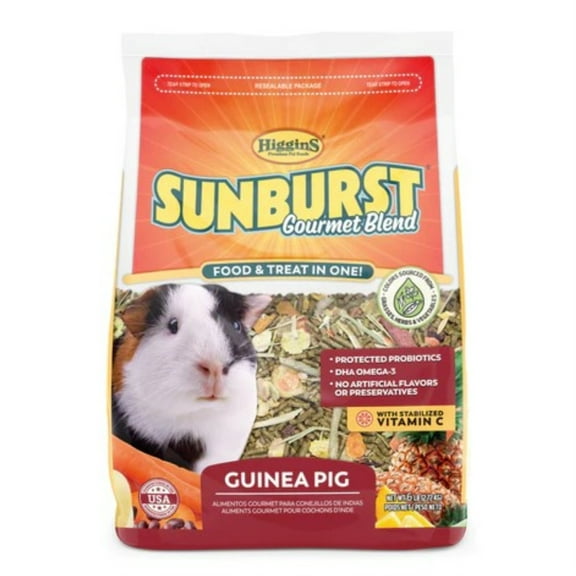 Sunburst Gourmet Blend Guinea Pig