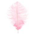 thumbnail image 5 of unbranded Decoration Red Ostrich Home Accessories Costumes Vases Pink, 5 of 8
