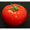 Proven Winners QT Tomatoes Red