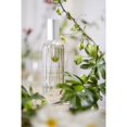 thumbnail image 4 of Provence Sante Eau de Toilette Spray - Fragancia de lujo de larga duración - Aroma a vetiver - Perfume elegante para regalar - Hecho en Francia - 100 ml, 4 of 5