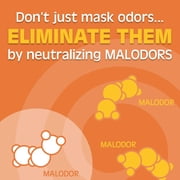 Gonzo Natural Magic Natural Magic Air Purifying Gel, Odor Eliminator For Cars, Closets, Bathrooms And Pet Areas, Captures And Eliminates Odors 14 Ounce - Citric Scent