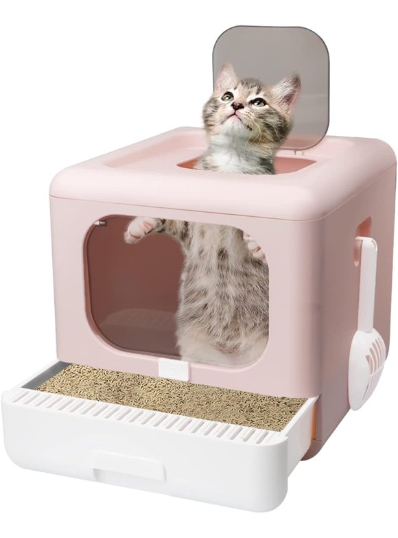 Open Top Cat Litter Box in Cat Litter Boxes