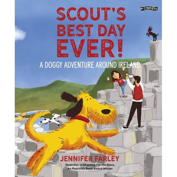 Pre-Owned Scout's Best Day Ever!: A Doggy Adventure Around Ireland (Hardcover) 1788491742 9781788491747