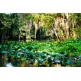 thumbnail image 2 of Alan Hausenflock 44x31 Gallery Wrapped Canvas Wall Art Titled - Water Lilies I, 2 of 4