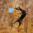 thumbnail image 3 of Dog Flying Disc Toy, Soft Teeth Cleaning Interactive Dog Flying Disc Toy With Silicone Material, Easy To Use For Outdoor Training, 3 of 8