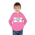 thumbnail image 6 of Toddler Pullover Fleece Hoodie, 6 of 56