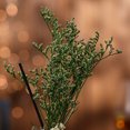 thumbnail image 4 of Reed Refill Rattan Sticks Set Aroma Diffuser Scent Gifts Bedroom Home Decor, 4 of 6