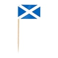 thumbnail image 2 of Country Flag Toothpicks | Cake and Burger Decorative Sticks | Flags for Themed Meals, 2 of 5