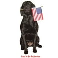 thumbnail image 3 of CafePress - Proud American Light T Shirt - Men's Classic Graphic T-Shirt, 3 of 4