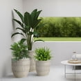 thumbnail image 4 of 3-Piece Modern Concrete Planters Set 15/13/11 Inch, Heavy-Duty Indoor Outdoor Large Flower Pots (SH009), 4 of 11