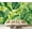Color 3, variant on Wall Mural Peel and Stick Stacked pile old whisky wine wooden barrels Self-Adhesive Wallpaper Removable Wall Decal Wall Sticker Home Decor for Living Room Bedroom 69"x96"