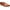 Woodbury/Ivory, variant on Cole Haan Original Grand Shwng Mens Shoes Size 13, Color: Woodbury/Ivory