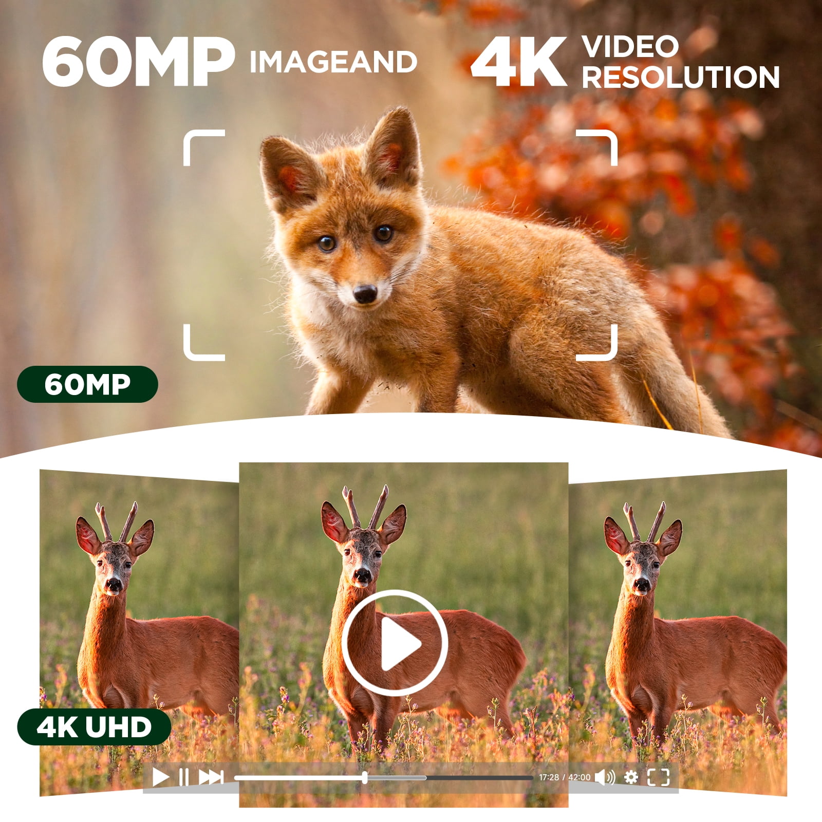 CAMPARK Solar Powered Trail Camera WiFi Bluetooth 60MP 4K UHD Dual Lens  Starlight Night Vision IMX458 Sensors 0.1s Motion Activated  IP66 Waterproof 2.4"LCD Game Hunting Camera with SD Card