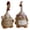 A & B, variant on Funny Farm Chickens Sculpture Ornament, Cute Resin Chicken Sculpture, Rustics Hen Figurines for Flowerpot, Desk Ornament (1PC, B)