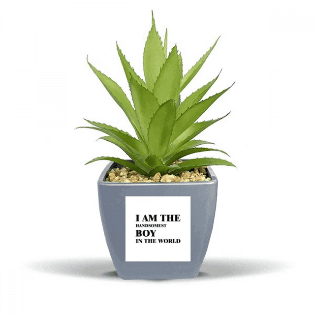 Je Suis le Plus Beau Garçon Art Déco Mode Faux Ananas Fleur Pot Vase Mini Décor