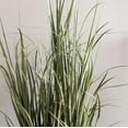 thumbnail image 2 of Vickerman 48" Artificial Green Potted Ryegrass., 2 of 4