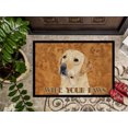 thumbnail image 3 of Carolines Treasures SC9133JMAT Paillasson Intérieur Ou Extérieur 24 x 36 Po. Labrador, 3 of 4