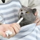 thumbnail image 3 of Dispensador de alimento para mascotas para perros y gatos, herramienta para animales pequeños blanco, 3 of 9