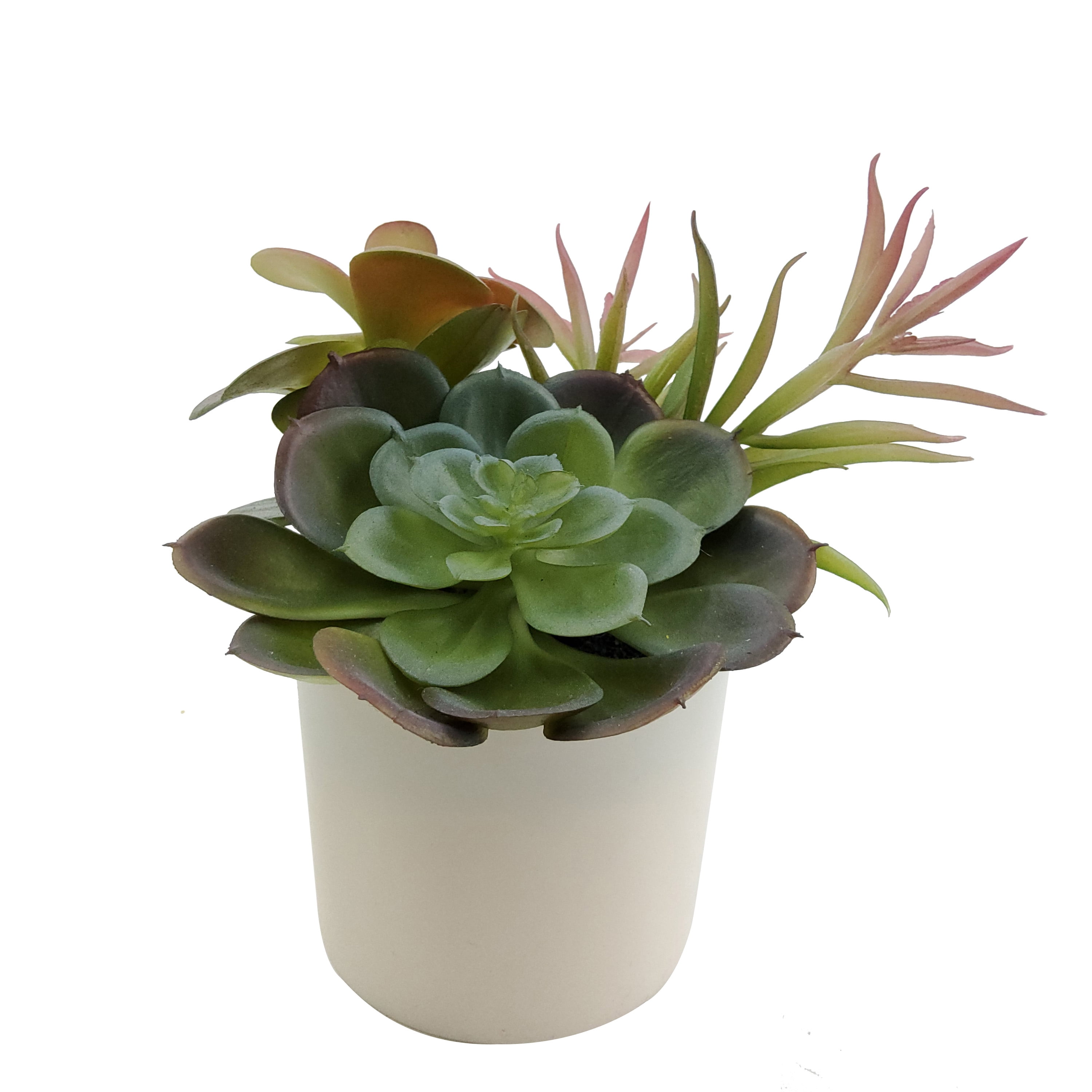 Mainstays 6.5in Indoor Artificial Succulents in Pot, Green Color.