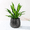 Orra - Antique Brass, variant on Fab Habitat Sow Antique Brass Bowl Metal Planters with Drainage Holes