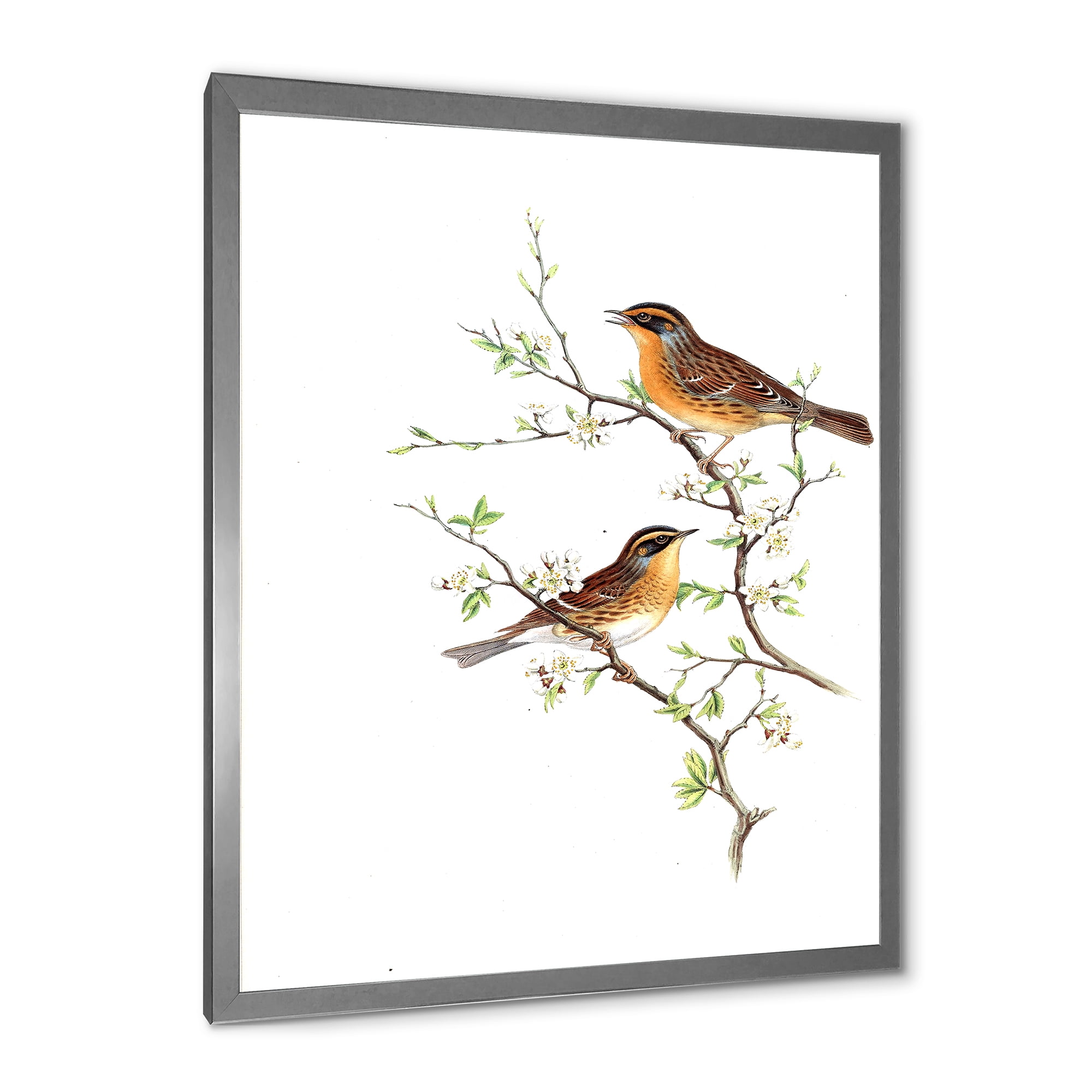 Designart 'Ancient Mammals II' Farmhouse Framed Art Print