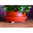 thumbnail image 3 of Soporte para plantas Bosmere Down Under ajustable de 12 pulgadas, transparente, 3 of 4