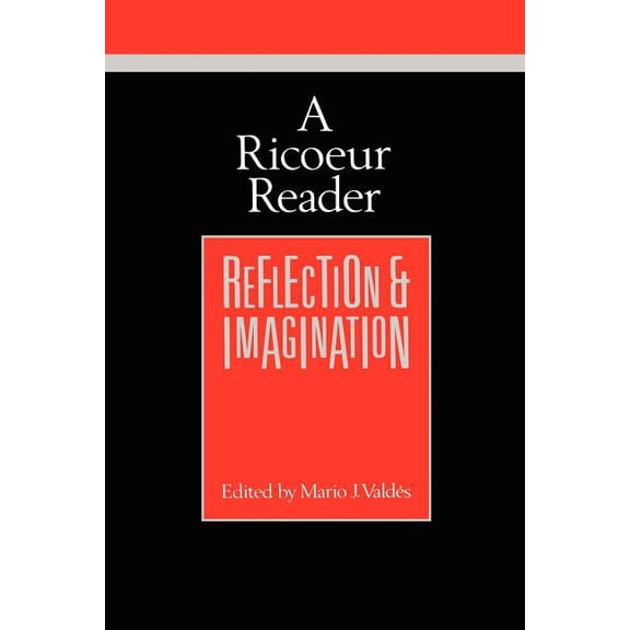 Theory / Culture: A Ricoeur Reader (Paperback)