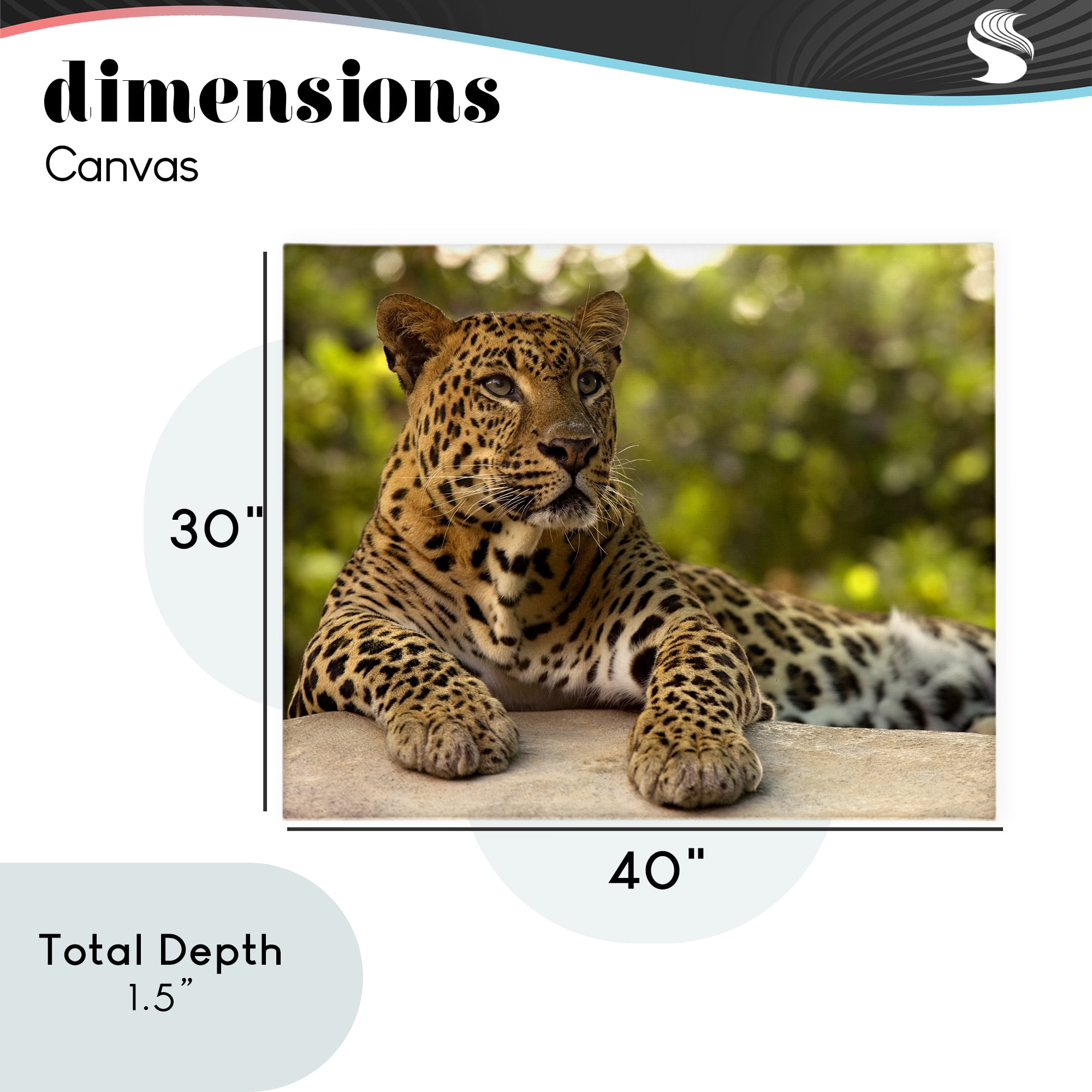 Leopard Gazing Relaxation Canvas Wall Art, design by MJ Photography