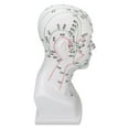 thumbnail image 4 of Modelo de cabeza de punto de acupuntura de PVC blanco, modelo de cabeza de meridianos de masaje facial, accesorios de enseñanza de 11,8 pulgadas, 4 of 14