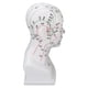 thumbnail image 4 of Modelo de cabeza de acupuntura para enseñanza, modelo de cabeza de punto de acupuntura, modelo de cabeza de acupuntura, modelo de cabeza de acupuntura para práctica, estética elegante, 4 of 8