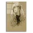 thumbnail image 1 of Epic Art 'Field Spaniel' by Barbara Keith, Acrylic Glass Wall Art, 16"x24", 1 of 8