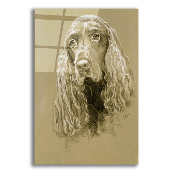 Epic Art 'Field Spaniel' by Barbara Keith, Acrylic Glass Wall Art, 16"x24"