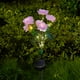 thumbnail image 4 of Solar Peony Simulation Flower Lamp Garden Patio Ambience Decoration Sod Lamp Outdoor Waterproof Lamps, 4 of 6
